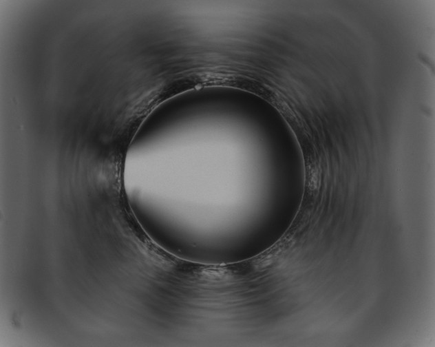 X0000093760666200710161224