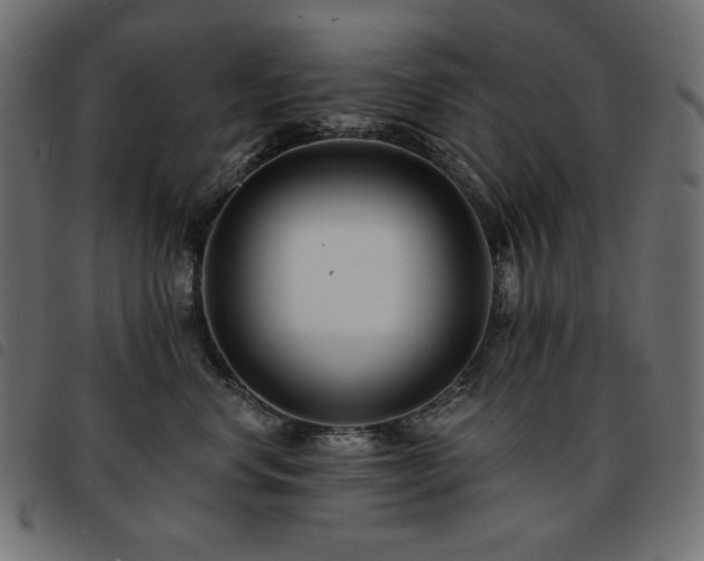 X0000093760668200710161224