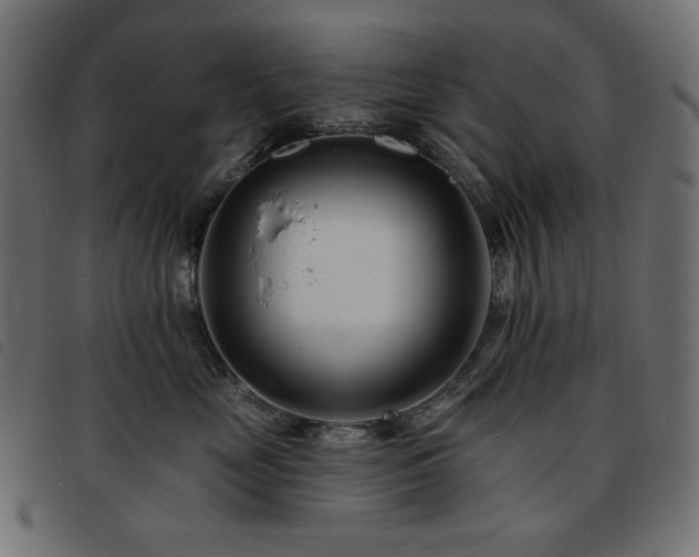X0000093760669200710161224