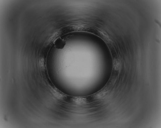 X0000093760670200710161224