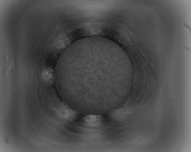 X0000093760672200710161224