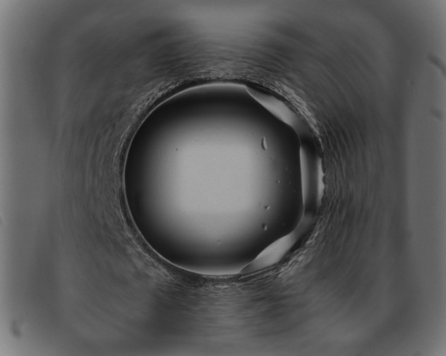 X0000093760673200710161223