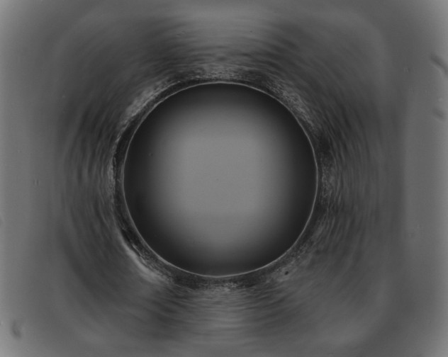 X0000093760674200710161223