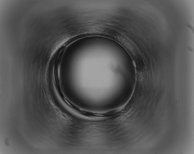 X0000093760676200710161223