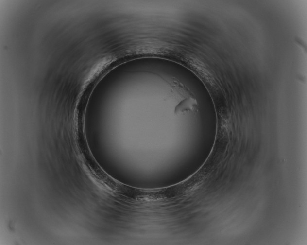 X0000093760678200710161223