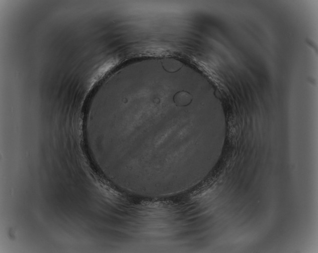 X0000093760679200710161223