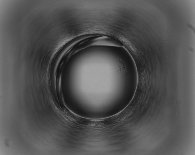 X0000093760680200710161223