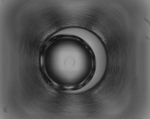 X0000093760681200710161223