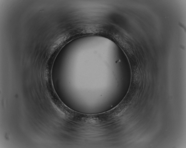 X0000093760683200710161223