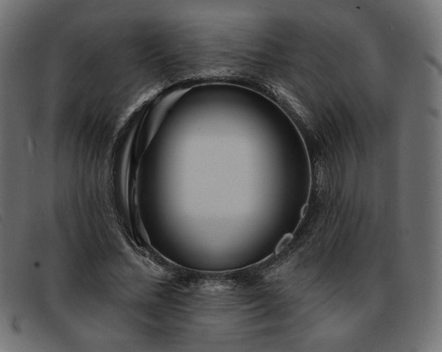 X0000093760684200710161223