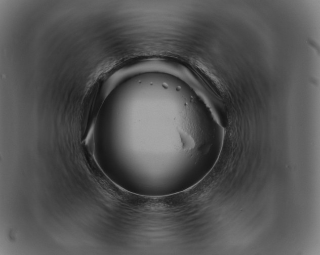 X0000093760685200710161223
