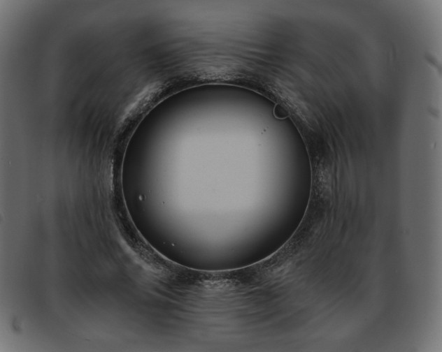 X0000093760686200710161223