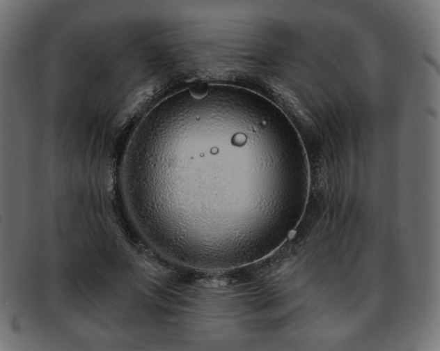 X0000093760687200710161223
