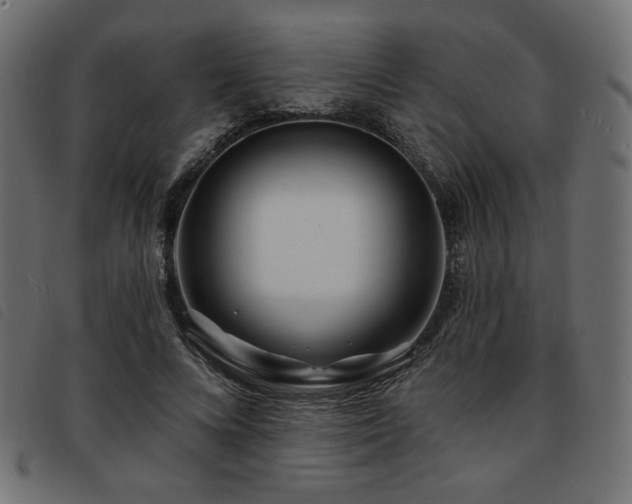 X0000093760688200710161223