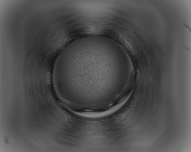 X0000093760689200710161223