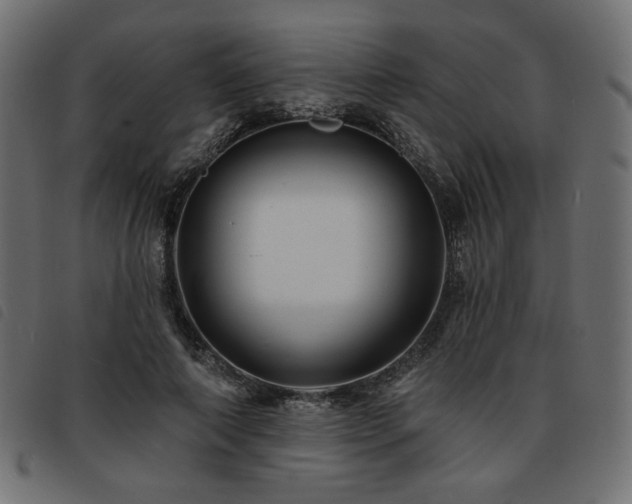 X0000093760690200710161223