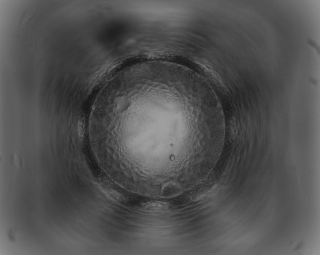 X0000093760691200710161223