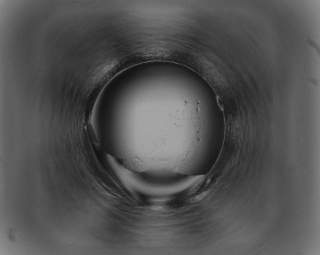 X0000093760692200710161223