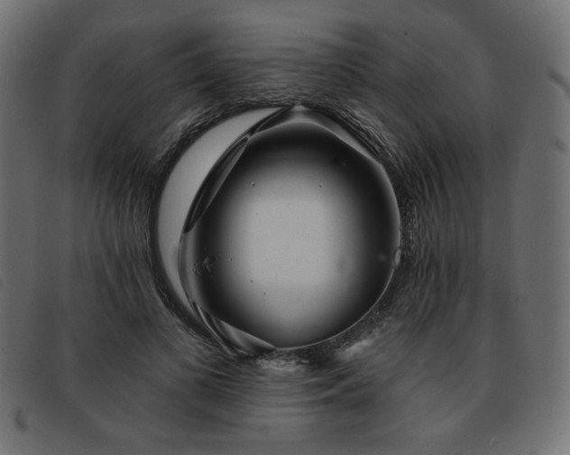 X0000093760693200710161223