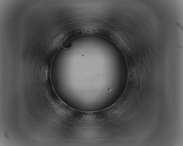 X0000093760694200710161223