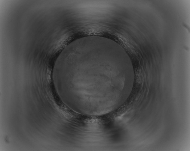 X0000093760695200710161223