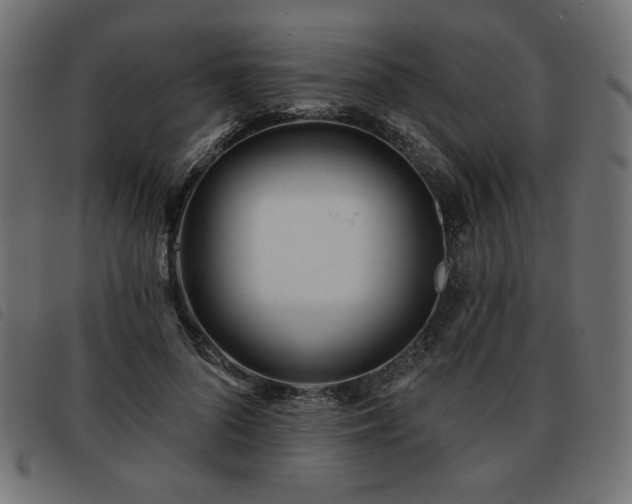 X0000093760696200710161223