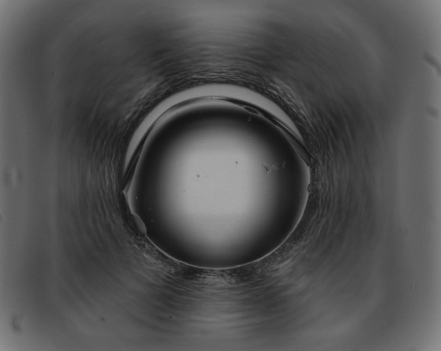 X0000093760697200710161223