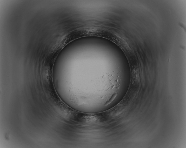 X0000093760698200710161223