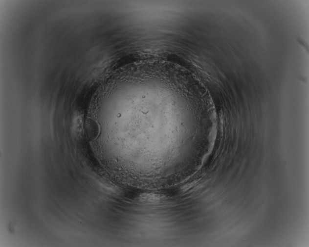 X0000093760699200710161223
