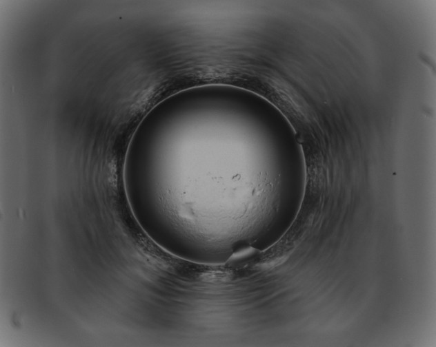 X0000093760700200710161223