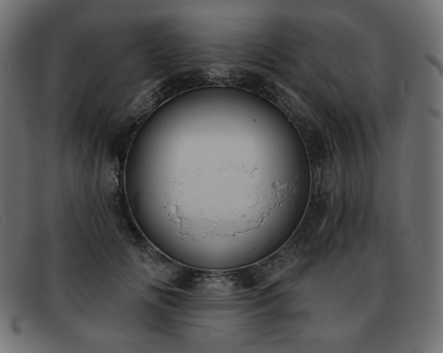 X0000093760702200710161223