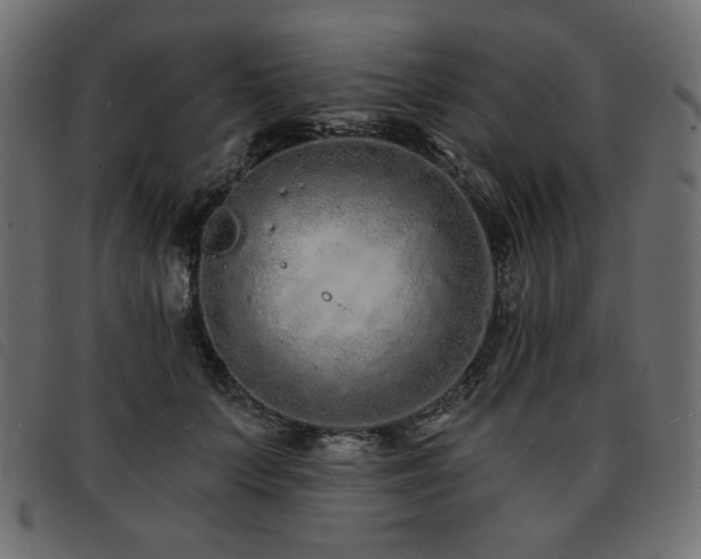 X0000093760703200710161223