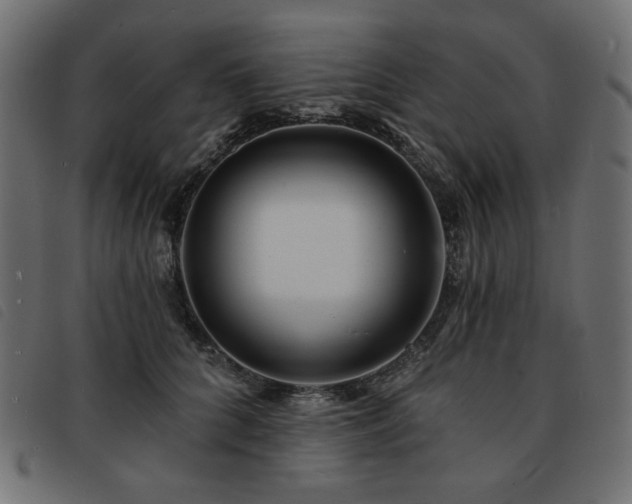 X0000093760704200710161223