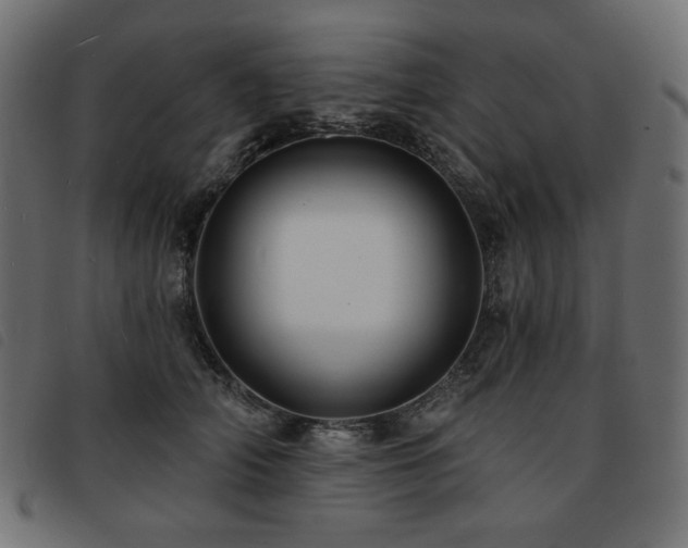 X0000093760706200710161223