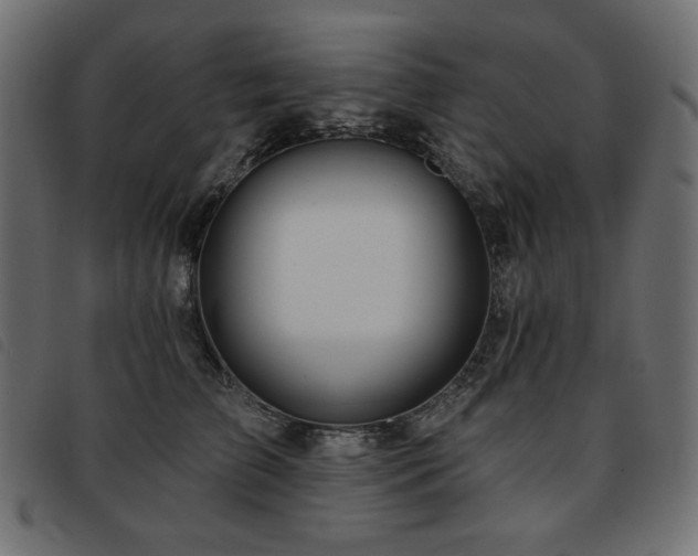 X0000093760709200710161223