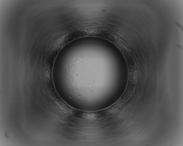 X0000093760710200710161223