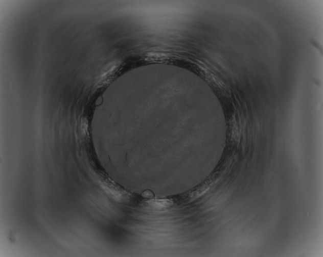 X0000093760711200710161223