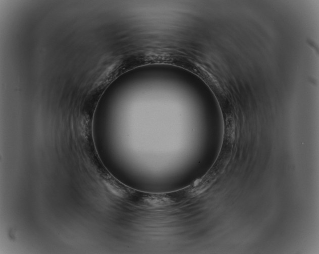 X0000093760712200710161223