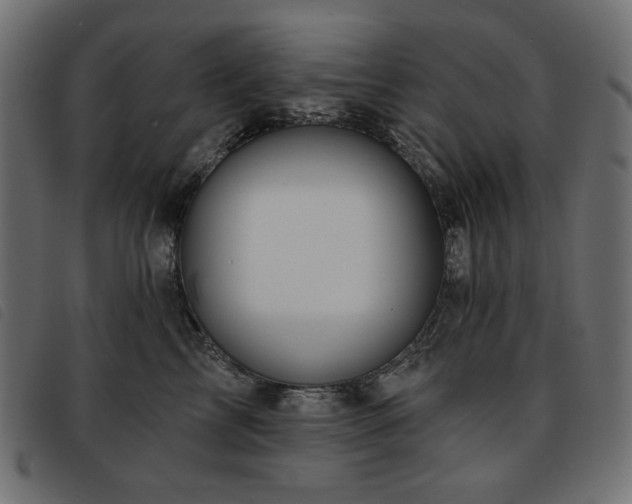 X0000093760713200710161223