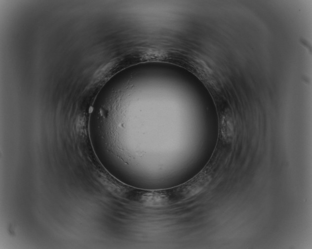 X0000093760714200710161223