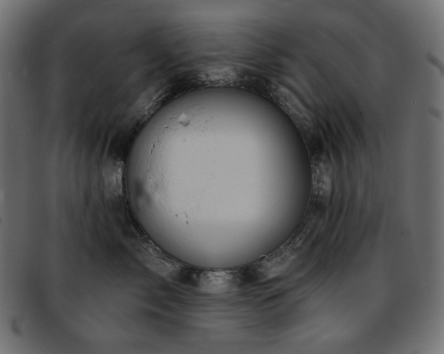 X0000093760717200710161223