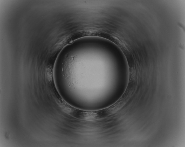 X0000093760719200710161223