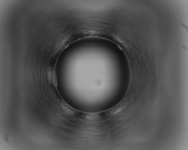 X0000093760720200710161223