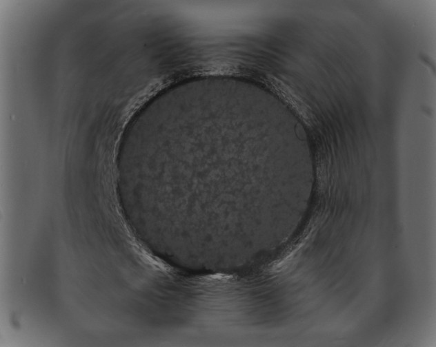 X0000093760721200710161222