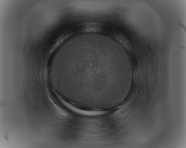 X0000093760722200710161222