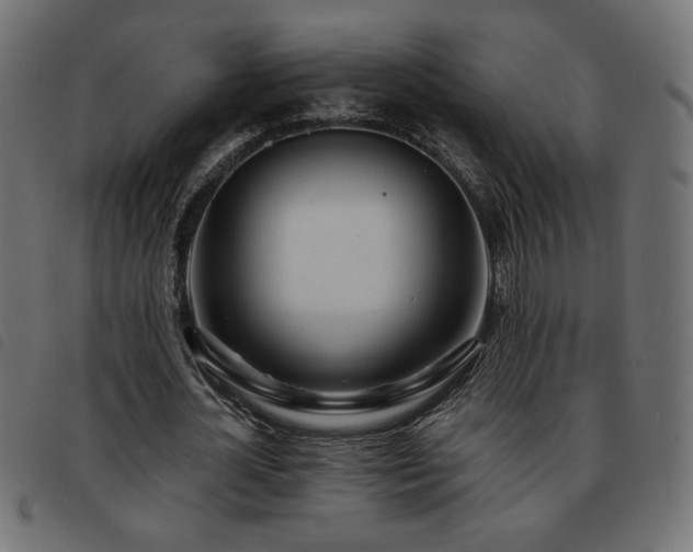 X0000093760724200710161222