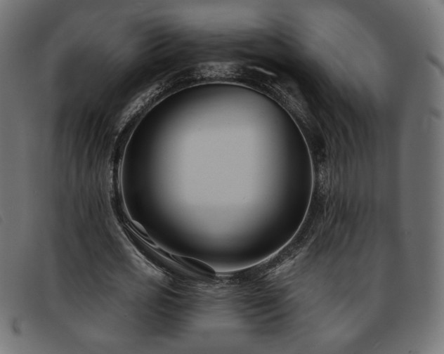 X0000093760725200710161222
