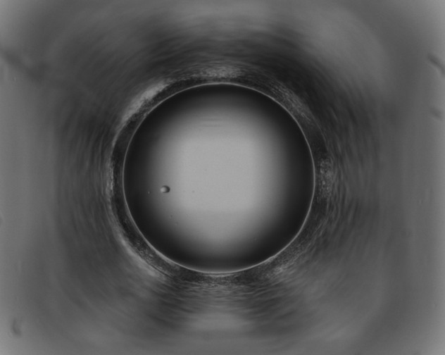 X0000093760726200710161222