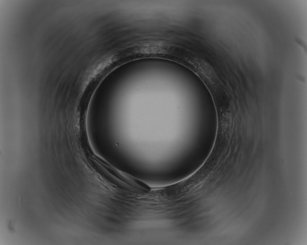 X0000093760727200710161222