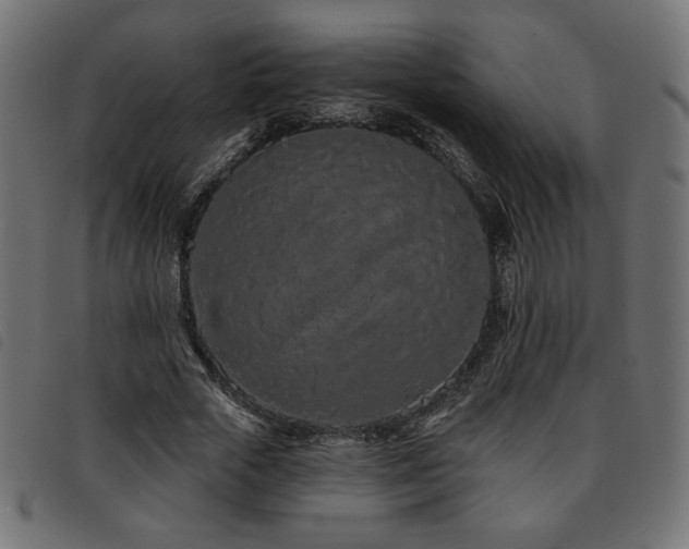 X0000093760729200710161222